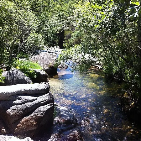 Ferienhaus Cantinho Ti Carlos