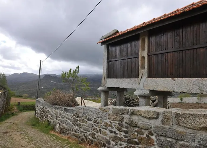 Cantinho Ti Carlos * 皮同伊斯-达斯-朱尼亚斯