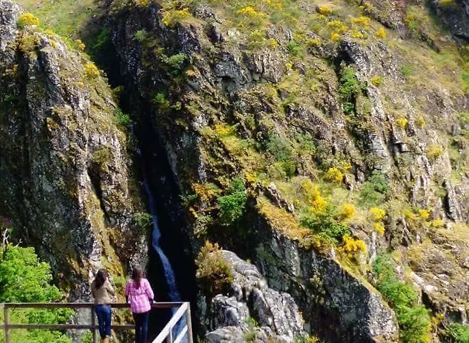 Cantinho Ti Carlos Дом отдыха Питойнш-даш-Жуньяш